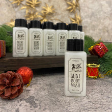 Load image into Gallery viewer, Mini Products ( Great for gifting )