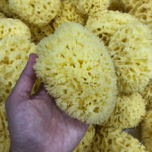 Load image into Gallery viewer, Natural Sea Sponge from Greece