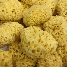 Load image into Gallery viewer, Natural Sea Sponge from Greece