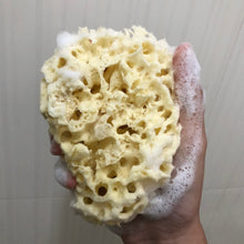 Load image into Gallery viewer, Natural Sea Sponge from Greece